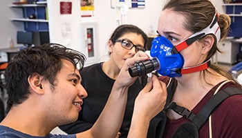 Decorative photo representing the degree Biological Sciences (Neurobiology, Physiology and Behavior), BS