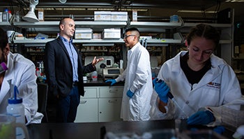 Decorative photo representing the degree Molecular Biosciences and Biotechnology, BS