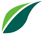 Leaf Icon