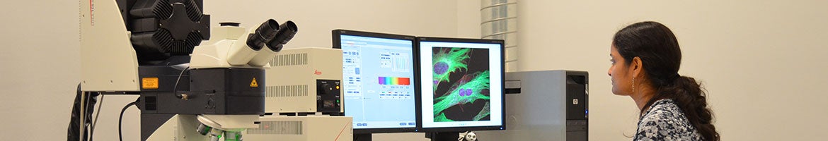 Core Laboratories