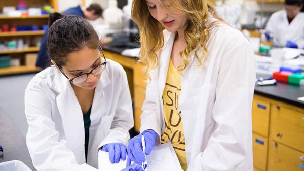 Students in lab