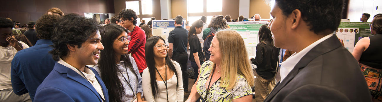 Internship information for employers